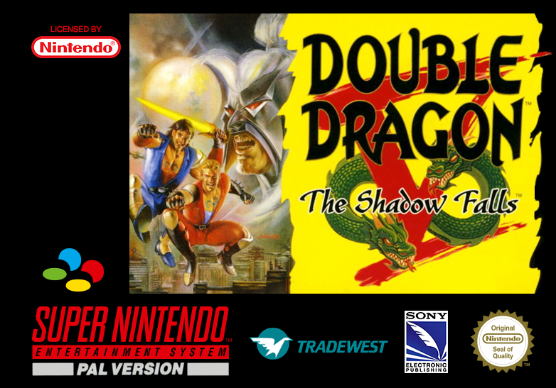 Double Dragon V - The Shadow Falls cover